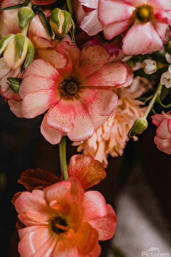 Blush & Bloom