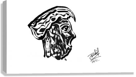     The Face  Canvas Print