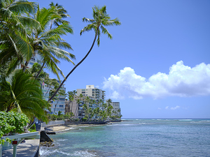 Hawaii Blue Ocean