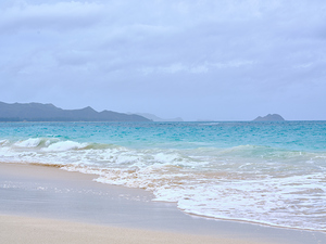 Hawaii Sand Beach