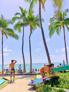 Hawaii Surf