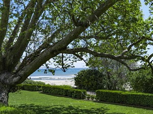 Beach Lawn