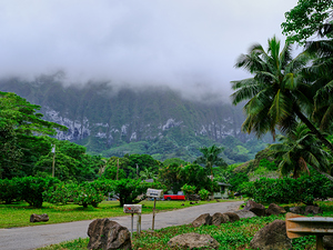 Hawaii Fog 2