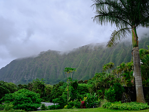 Hawaii Fog 3