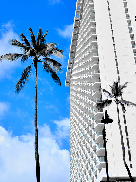 Hawaii Hotel II Print
