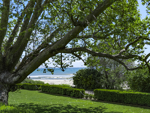 Beach Lawn Print