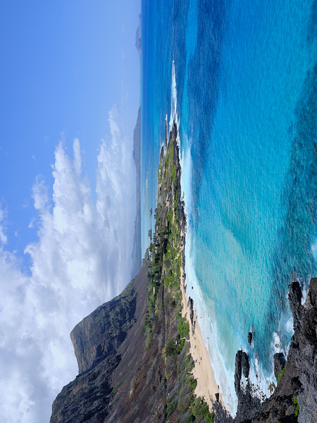 Hawaii Beach Print