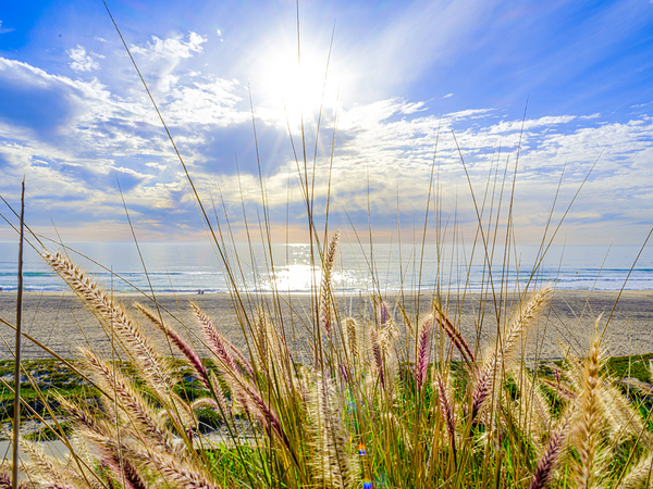 Sunrise Beach Print