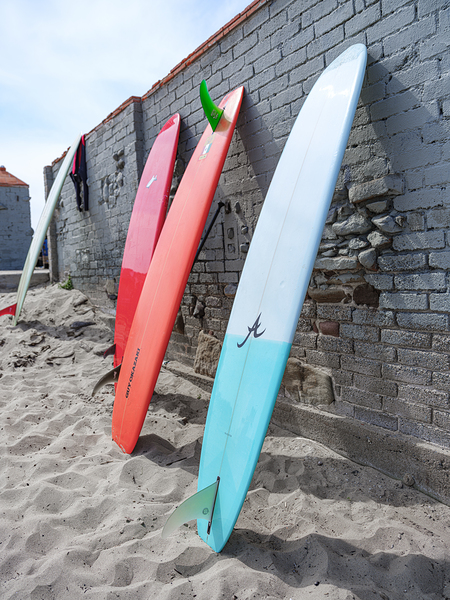 Surfboard 2 Print