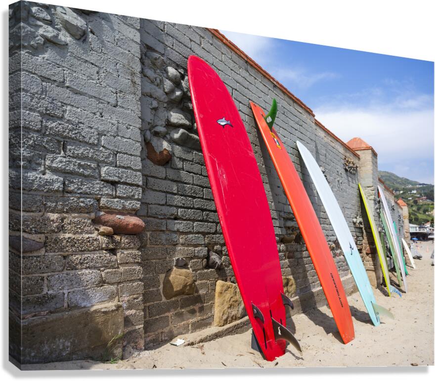 Surfboards Canvas Print