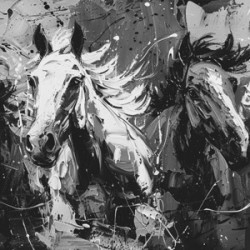 Galloping Shadows