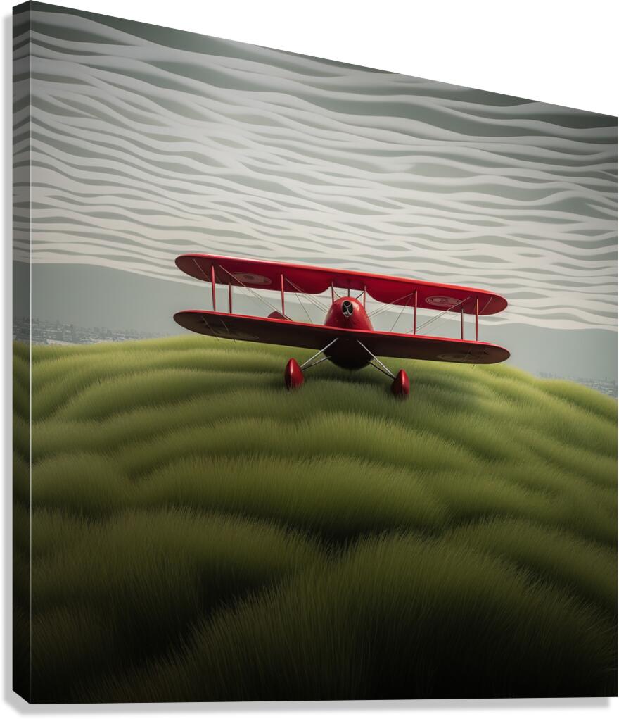 Bi-Plane Canvas Print