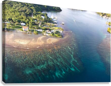 Tropical reef Canvas Print