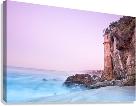 The tower Canvas Print