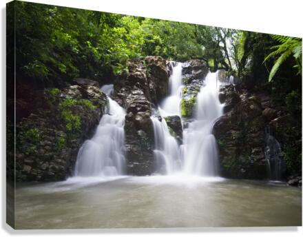 Fiji Waterfall Canvas Print