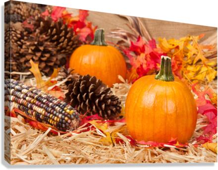 Autumn theme Canvas Print