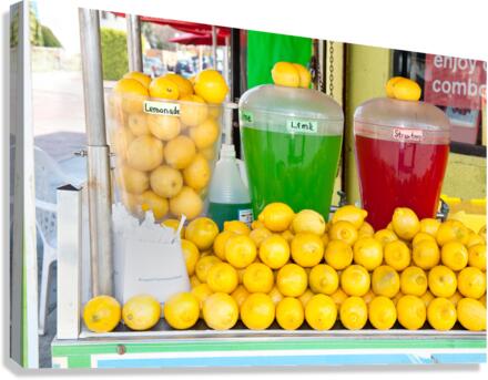 Lemonade stand Canvas Print