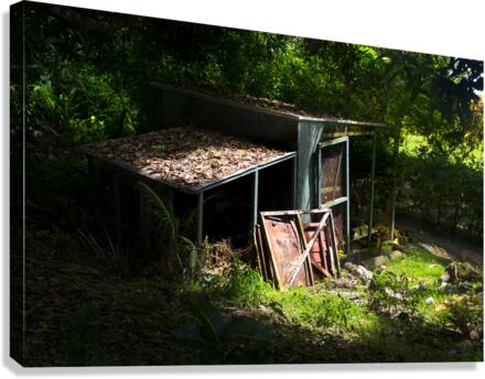 Old shack Canvas Print