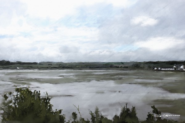 Leland Saltings by Roger Lighterness