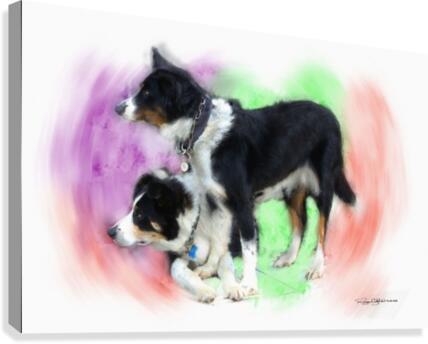 Look over there Canvas Print
