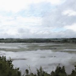 Leland Saltings