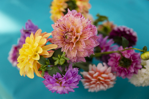 Wedding Flowers