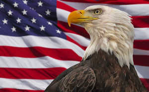 Proud Bird