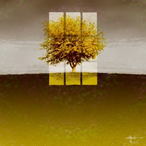 Window on an Amber Tree 1x1