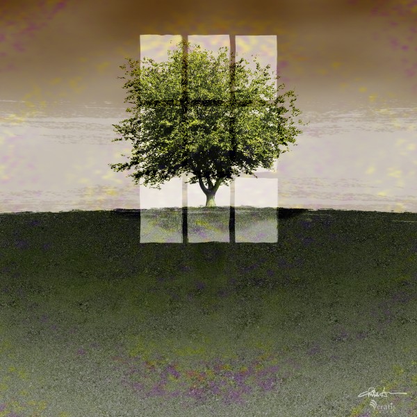 Window on a Green Tree 1x1 by Veratis Editions
