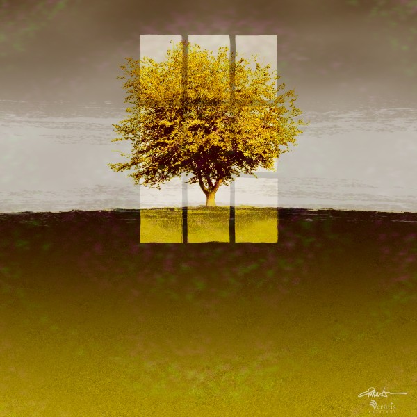 Window on an Amber Tree 1x1 by Veratis Editions
