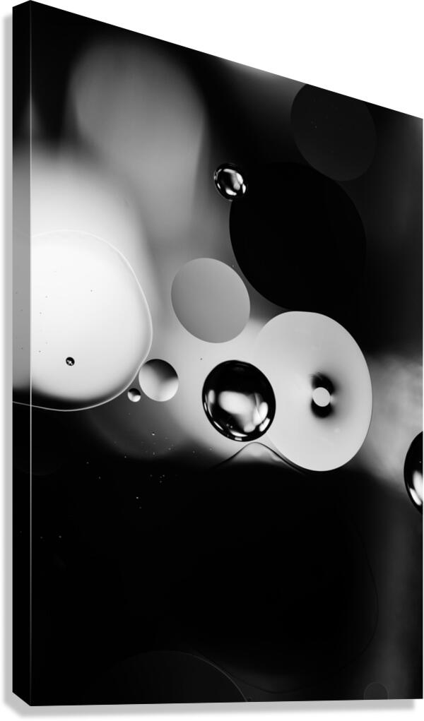 CAMEO Canvas Print