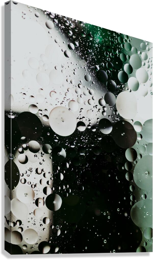 Clear and Present Canvas Print