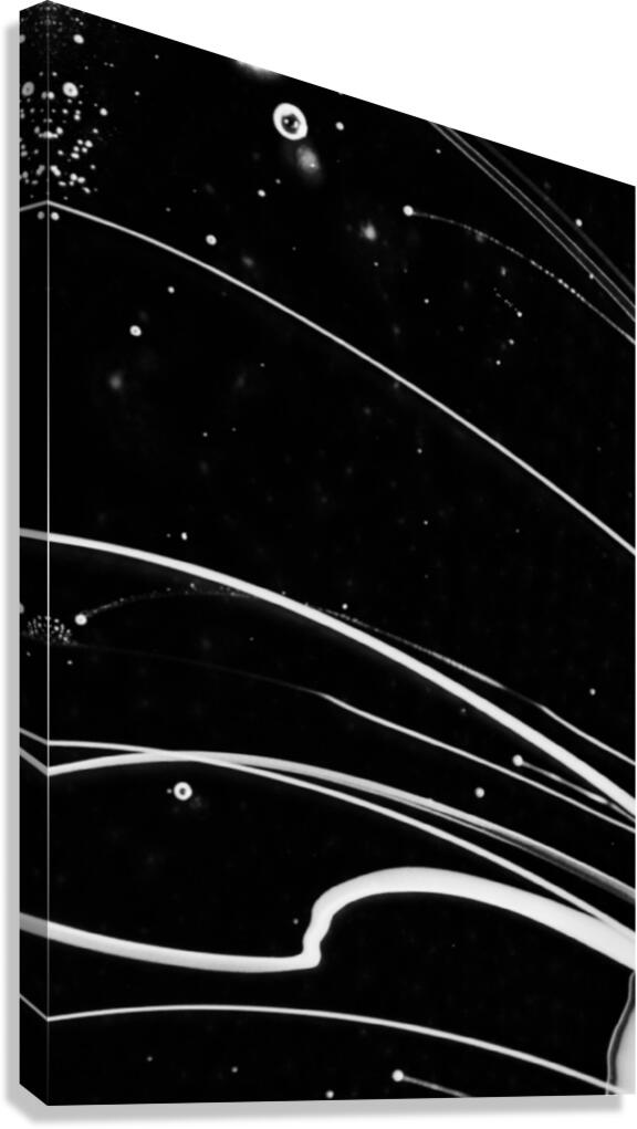 Premonition Canvas Print