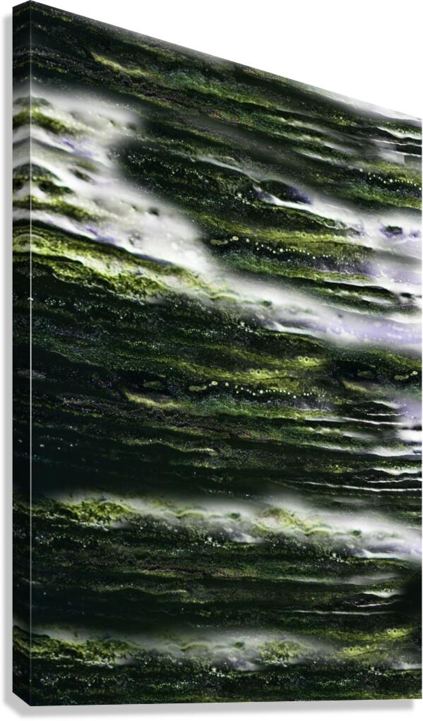 Sanctuary Canvas Print