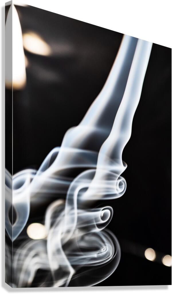 Cessation Canvas Print