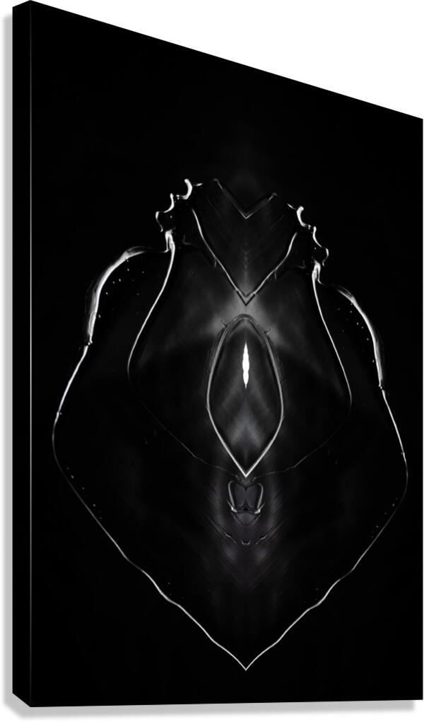 Shadow Work Canvas Print