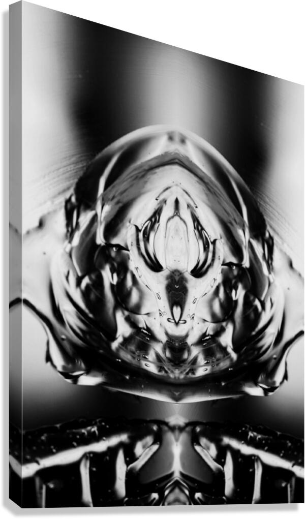 Bullet Proof Canvas Print