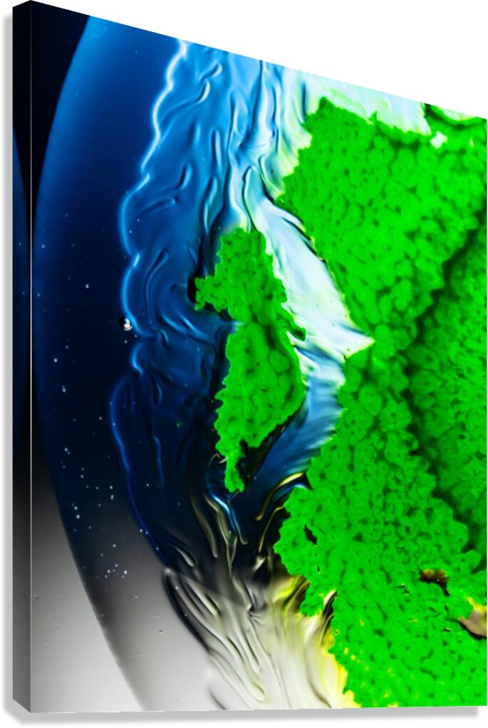 EVOLVE Canvas Print