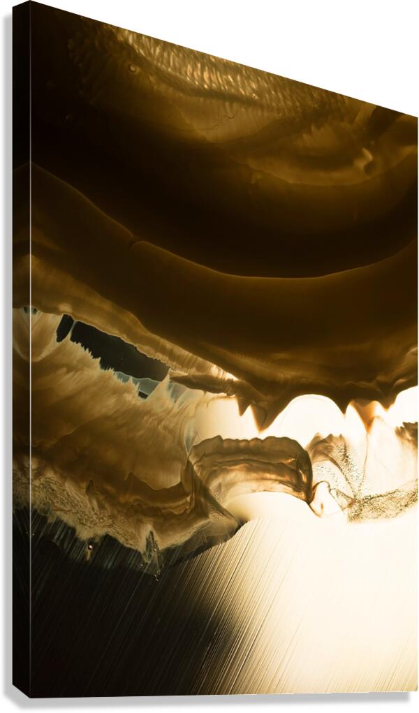 FLARE Canvas Print