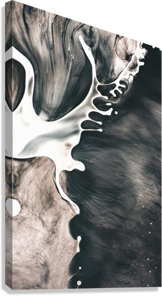 IMMENSITY Canvas Print