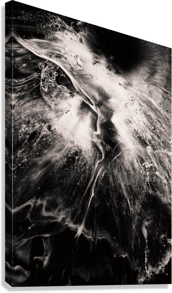 GRAVITY Canvas Print