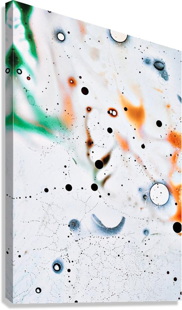 Point Blank Canvas Print