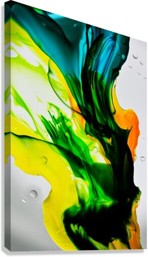 JUBILANT Canvas Print