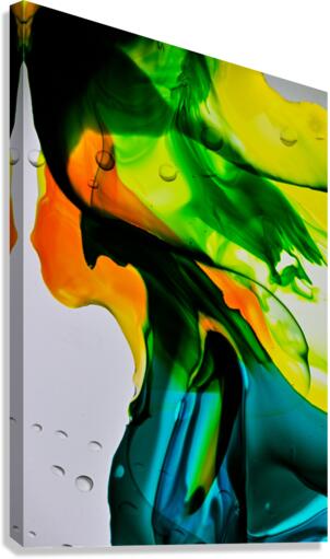 DELIGHT Canvas Print