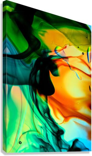 HYPNOTIC Canvas Print