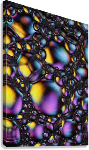 RADIANCE Canvas Print