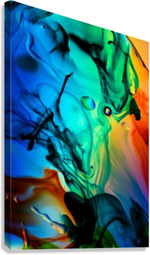 EXTRINSIC Canvas Print