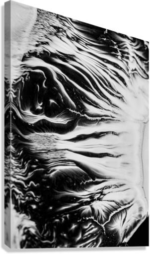 HURRICANE Canvas Print