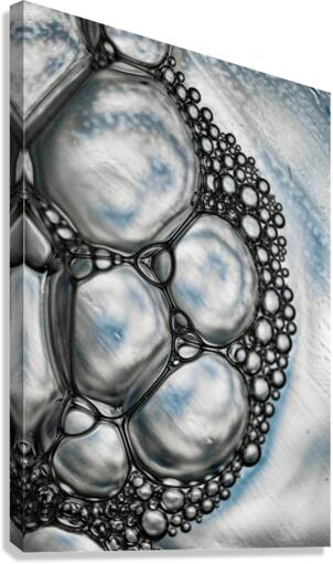 LUCIDITY Canvas Print