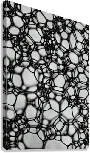 INTERLINKED Canvas Print
